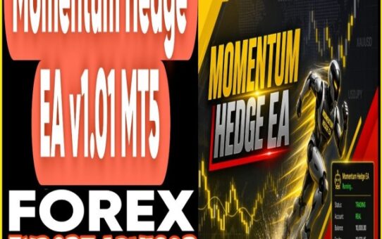 Momentum Hedge EA v1.01 MT5