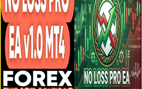 NO LOSS PRO EA v1.0 MT4