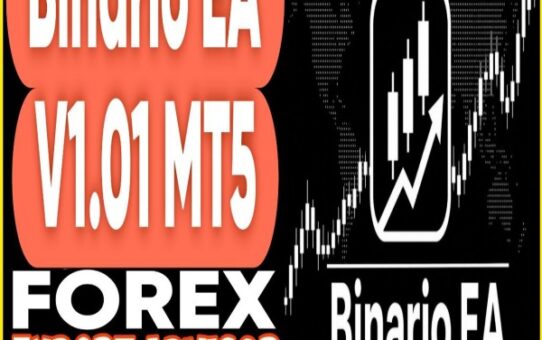 Binario EA v1.01 MT5