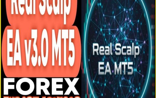 Real Scalp EA v3.0 MT5