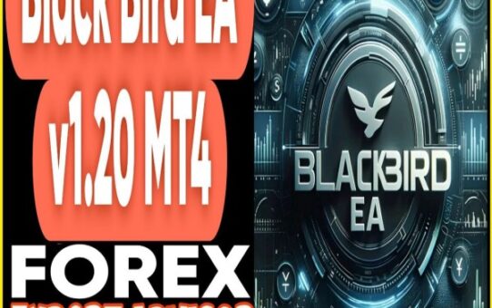 Black Bird EA v1.2 MT4