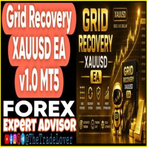 Grid Recovery XAUUSD EA v1.0 MT5