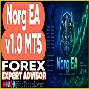 NORG EA v1.0 MT5