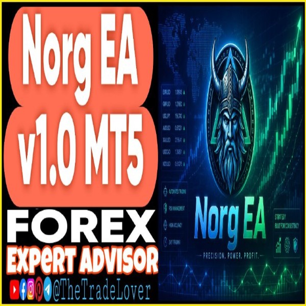 NORG EA v1.0 MT5