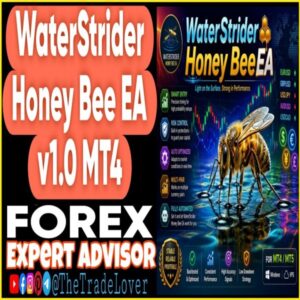 Waterstrider Honey Bee EA v1.0 MT4