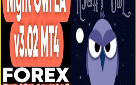 Night Owl EA v3.02 MT4