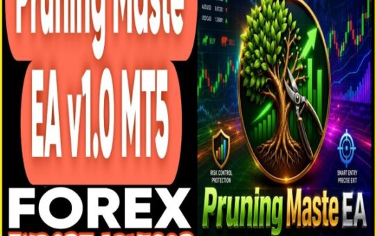 Pruning Maste EA v1.0 MT5