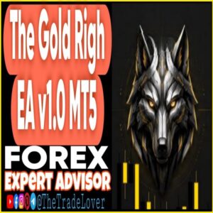 The Gold Righ EA v1.0 MT5