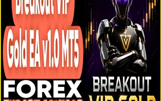 Breakout VIP Gold EA v1.0 MT5