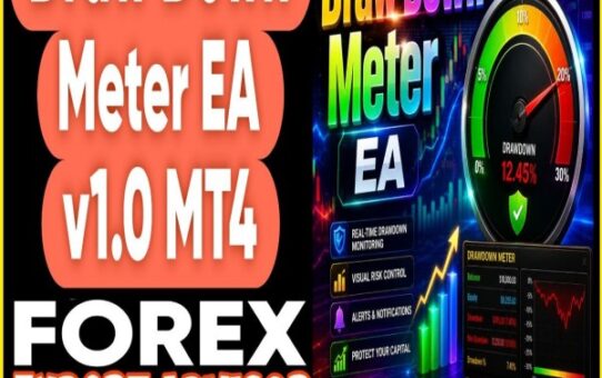 Draw Down Meter EA v1.0 MQ4