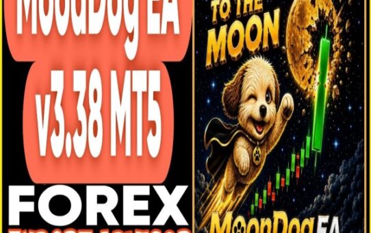 MoonDog EA v3.38 MT5