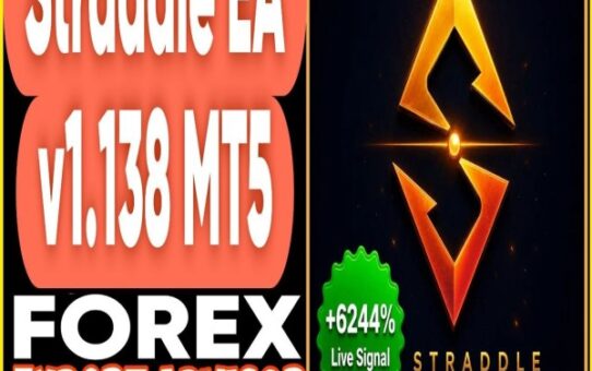 Straddle EA v1.138 MT5