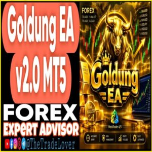 Goldung EA v2.0 MT5